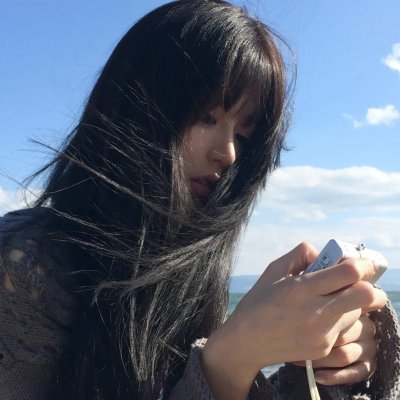 科搜研之女第24季